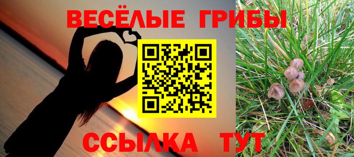 Новоалександровск  Псилоцибиновые грибы мухоморы  Псилоцибиновые грибы MAGIC MUSHROOMS  Вход с VPN 