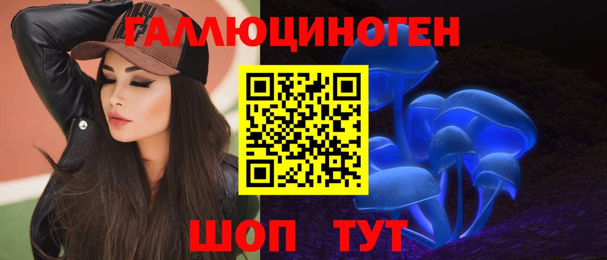 Галлюциногенные грибы Psilocybe Новоалександровск